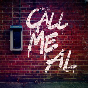 You Can Call Me Al - Single