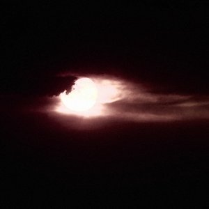Bleeding Dreams