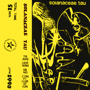 Transgerman Mind Configuration cover