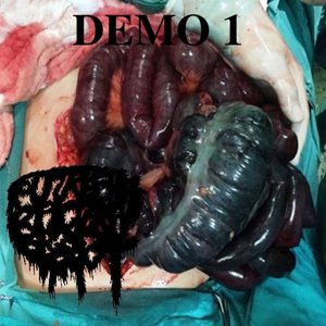 DEMO 1