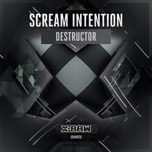 Destructor