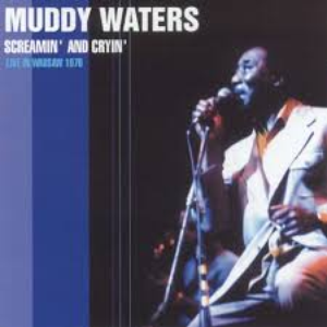 Muddy Waters - Screamin