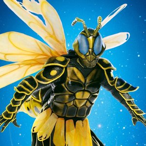 Avatar for The Masked Singer: Wasp