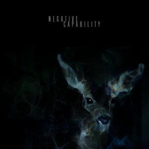 Negative Capability