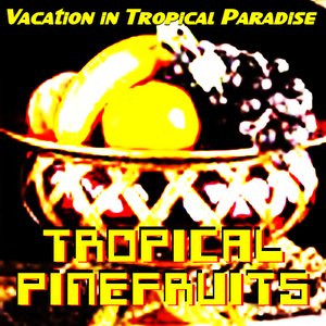 “Vacation in Tropical Paradise”的封面