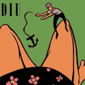 Diu 的头像