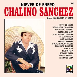 Nieves de Enero (feat. Los Amables Del Norte)