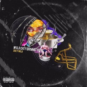Wild Cat Formation