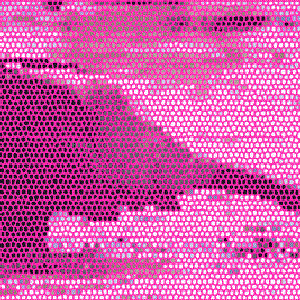 Image for 'NYLON STANDARD'