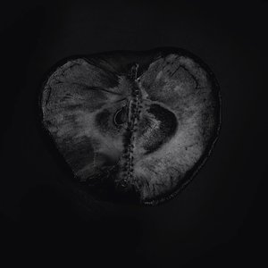 Avatar for SADON, Treha Sektori