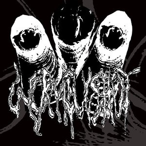 Wormcumshot 的头像
