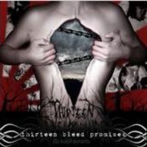 Avatar for 13 Bleed Promises