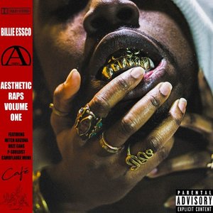 Aesthetic Raps Vol.1