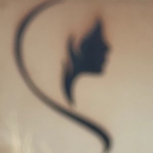 Sta Dormida 的头像