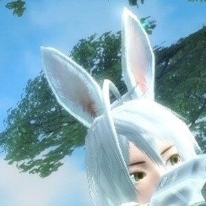 bunny