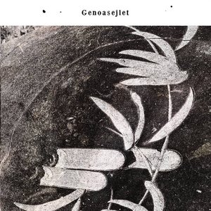 Udsnit Af Tusind R​ø​de Valmuer