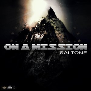 “Saltone- On a mission”的封面