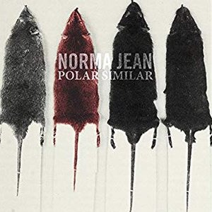 Polar Similar
