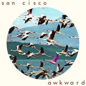 Awkward - Single