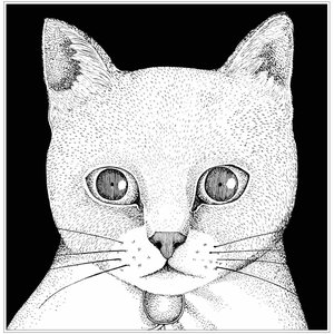 ALL YOU NEED IS CAT〜猫こそはすべて