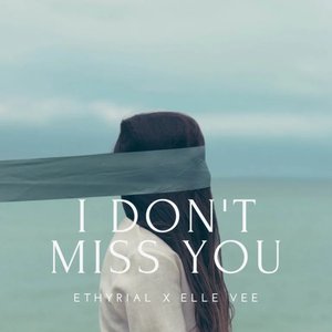 I Don't Miss You - Single