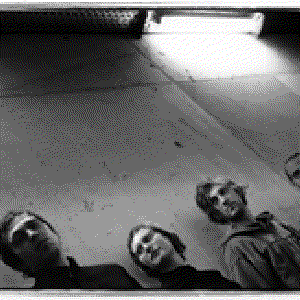 Confuse the Cat photo provided by Last.fm