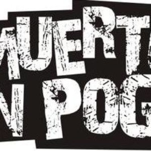 Muerto En Pogo 的头像