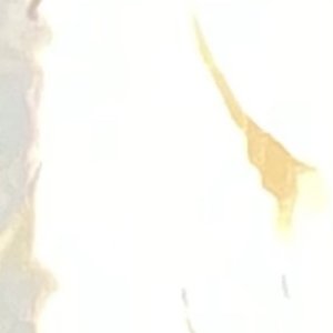 Missing