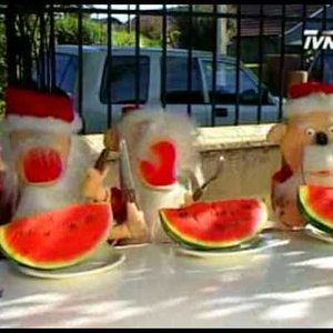 Viejos Pascueros Acalorados 的头像