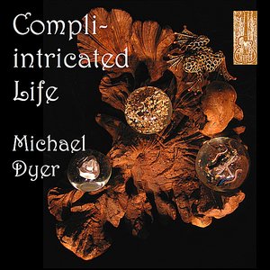 Compli-intricated Life