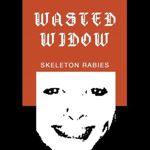 “Wasted Widow”的封面