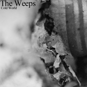 The WEEPS 的头像