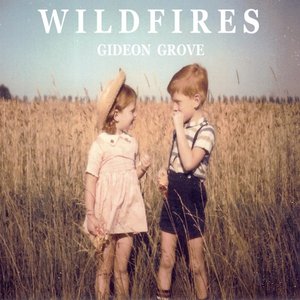 Wildfires