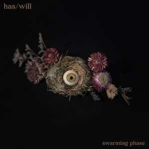 Swarming Phase