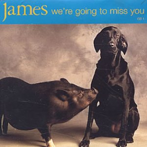 We're Going to Miss You