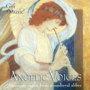 Hildegard Of Bingen: Choral Music (Angelic Voices - Heavenly Music From A Medieval Abbey)