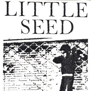 Avatar di Little Seed