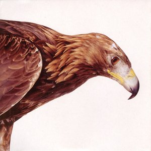 New Order - Retro 5 - Zortam Music