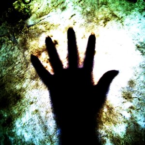 Voodoo Project 的头像