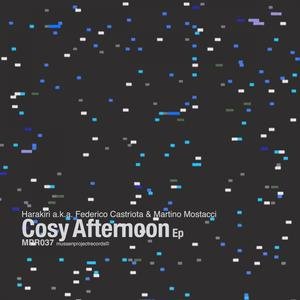 Cosy Afternoon ep