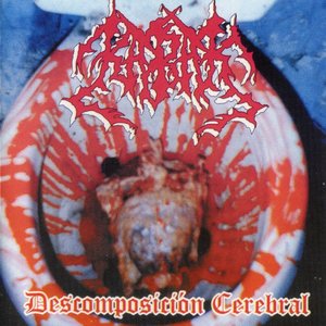 Descomposicion Cerebral