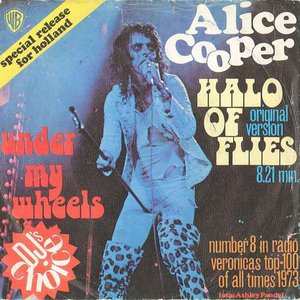 Halo Of Flies