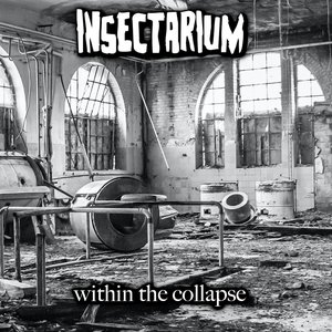 within the collapse