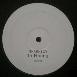 In Hiding
