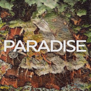 Paradise - Single