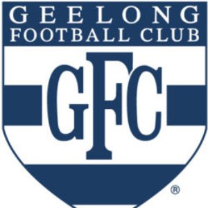 Image for 'Geelong Football Club'