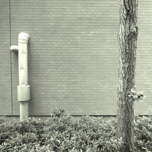 "we practice our songs" demo