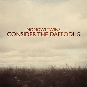 Consider the Daffodils