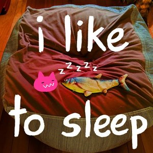 i like to sleep