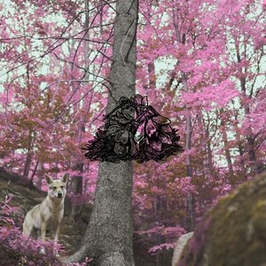 Soundtrack - Single